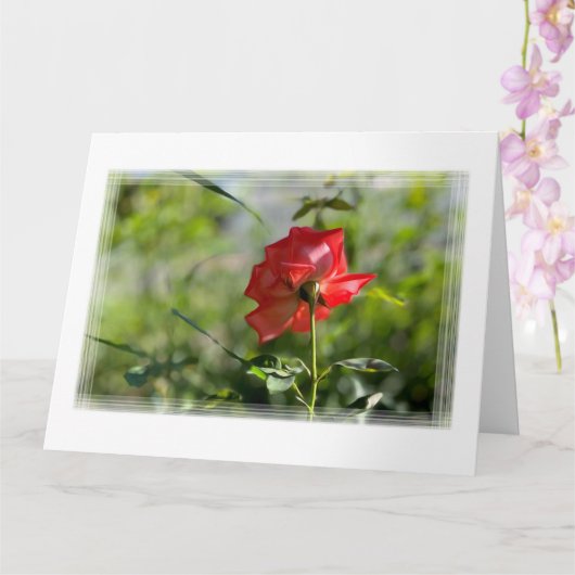 Eine rote Rose Karte (Orchidee)