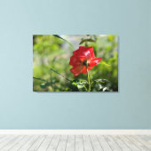 Eine rote Rose Leinwanddruck (Insitu (Holzboden))