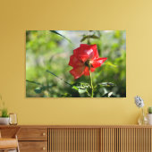 Eine rote Rose Leinwanddruck (Insitu (Wohnzimmer))