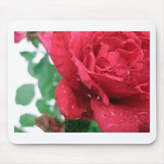 Eine Rote Rose Mousepad (Vorne)