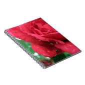 Eine Rote Rose Notizblock (Rechte Seite)