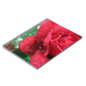 Eine Rote Rose Notizblock (Linke Seite)