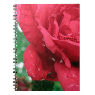 Eine rote Rose Notizblock