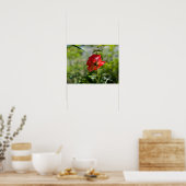 Eine rote Rose Poster (Küche)