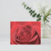 Eine rote Rose Postkarte (Stehend Vorderseite)