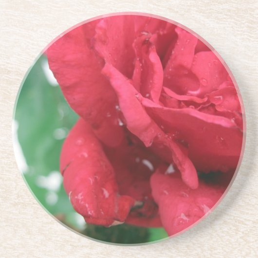 Eine Rote Rose Sandstein Untersetzer (Vorne)