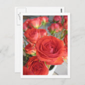 Eine rote Rote Rose Postkarte (Vorne/Hinten)