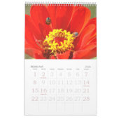 eine rote Touch für 2025 Kalender (Feb 2026)