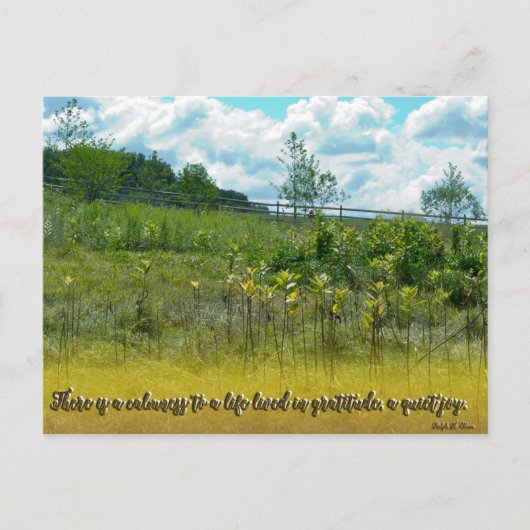 Eine ruhige Freude Postkarte (Vorderseite)