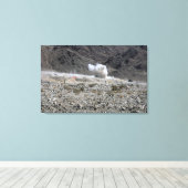 Eine Runde aus einem AT-4-Raketenwerfer Leinwanddruck (Insitu (Holzboden))