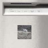 Eine Runde aus einem AT-4-Raketenwerfer Magnet (In Situ (Geschirrspüler))