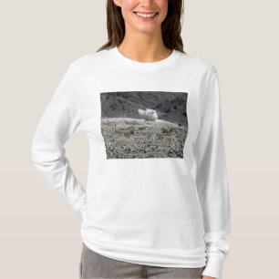 Eine Runde von einer kleinen AT-4 T-Shirt