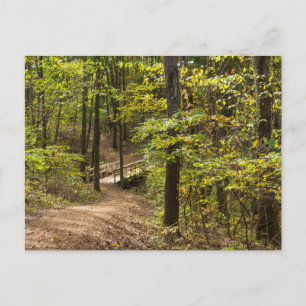 Eine Runge-Pathway-Postkarte Postkarte