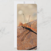 Eine rustikale Hochzeitsfeier Feiertagskarte (Rückseite)