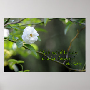 "Eine Sache der Schönheit ist ein Freudenvorsprung Poster