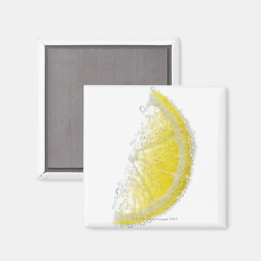 Eine saftig reife, Bio Zitronenkeilfrucht unterget Magnet (Vorderseite/Rückseite)