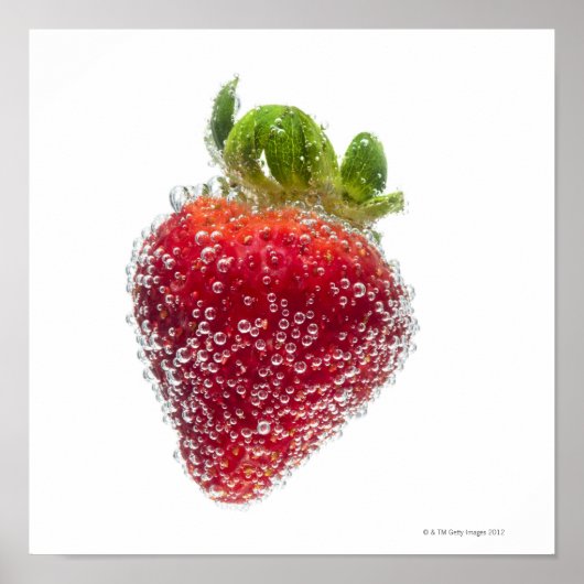 Eine saftig reifen Bio Strawberry Frucht untergeta Poster (Vorne)