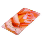 Eine Saison für eine Rose Magnet (Linke Seite)