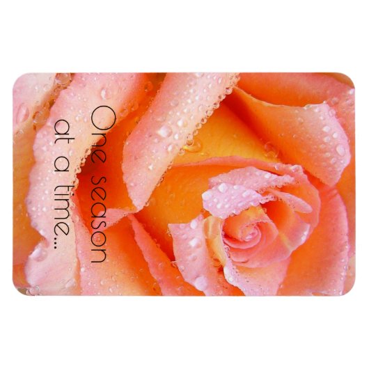 Eine Saison für eine Rose Magnet (Horizontal)