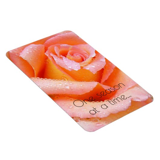 Eine Saison für eine Rose Magnet (Rechte Seite)