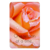 Eine Saison für eine Rose Magnet (Vertikal)