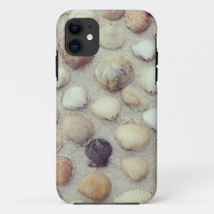 Eine Sammlung Seashells iPhone 11 Hülle