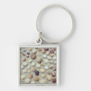 Eine Sammlung Seashells Schlüsselanhänger