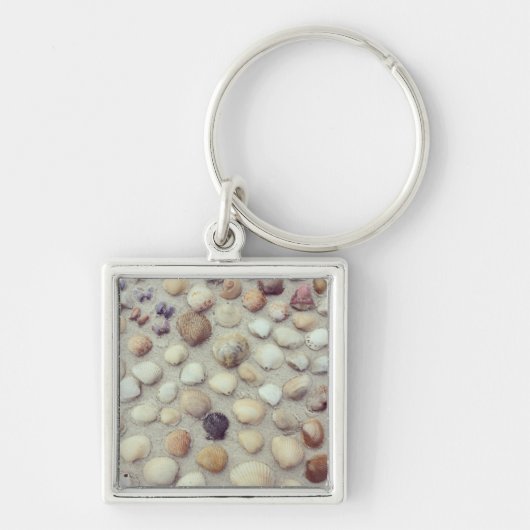 Eine Sammlung Seashells Schlüsselanhänger (Vorne)