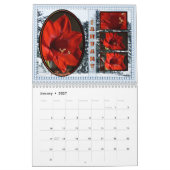 Eine Sammlung von Blume Kalender 2022 (m) (Jan 2027)