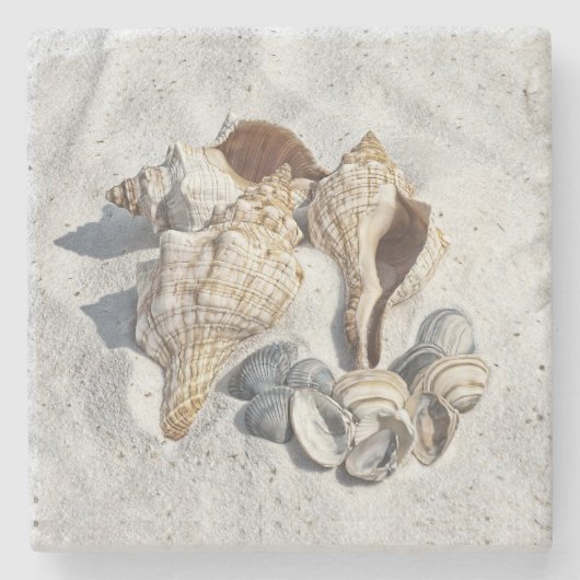 Eine Sammlung von Muscheln im Sand Steinuntersetzer (Vorderseite)