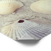 Eine Sammlung von Muscheln Poster (Ecke)