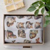 Eine Sammlung von sorgfältigen Schnitten mit Calic Seidenpapier (Geschenk)