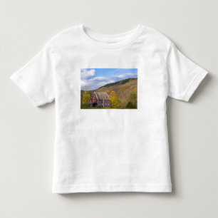 Eine Scheune in Vermonts Green Mountains. Hancock, Kleinkind T-shirt