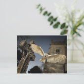 Eine Scheunenschale (Tyto alba) auf einem Friedhof Postkarte (Stehend Vorderseite)