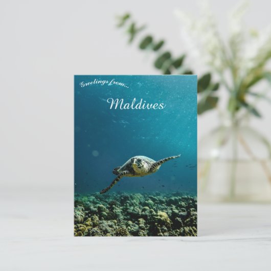 Eine Schildkröte auf den Malediven Postkarte (Stehend Vorderseite)