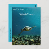 Eine Schildkröte auf den Malediven Postkarte (Vorne/Hinten)