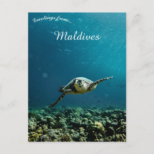 Eine Schildkröte auf den Malediven Postkarte (Vorderseite)