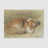 Eine Schlafkatze von Henriette Ronner-Knip Seidenpapier (Vorderseite)
