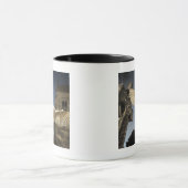 Eine Schleiereule (Tyto alba) in einem Friedhof im Tasse (Zentrum)