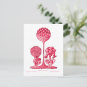 Eine Schleime Postkarte (Stehend Vorderseite)