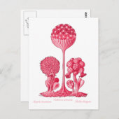 Eine Schleime Postkarte (Vorne/Hinten)