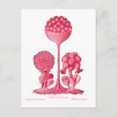 Eine Schleime Postkarte (Vorderseite)