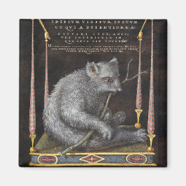 Eine Schlucht von Mira Calligraphiae Monumenta Magnet