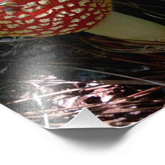 Eine Schnecke, die einen Roten Amanita-Muskariamus Fotodruck (Ecke)