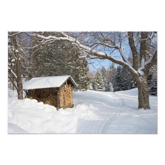 Eine schneebedeckte Szene am Kleinen Lyford Pond d Fotodruck (Vorne)