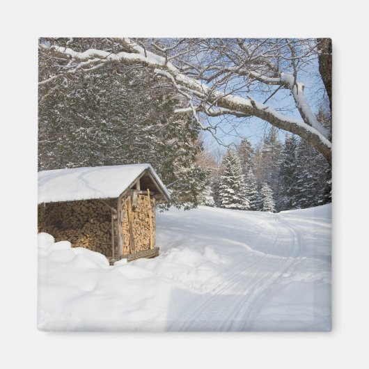 Eine schneebedeckte Szene am Kleinen Lyford Pond d Magnet (Vorne)