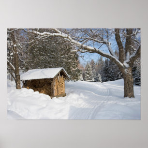 Eine schneebedeckte Szene am Kleinen Lyford Pond d Poster