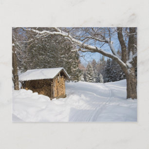 Eine schneebedeckte Szene am Kleinen Lyford Pond d Postkarte