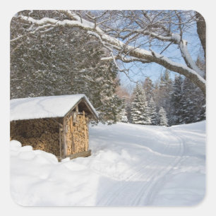 Eine schneebedeckte Szene in dem AMCs wenigen Quadratischer Aufkleber
