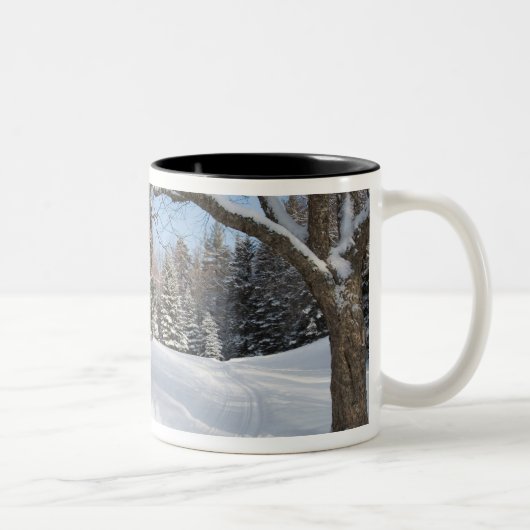 Eine schneebedeckte Szene in dem AMCs wenigen Zweifarbige Tasse (Rechts)